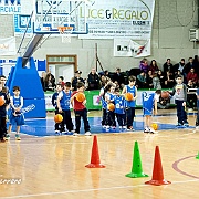 47-minibasket.jpg