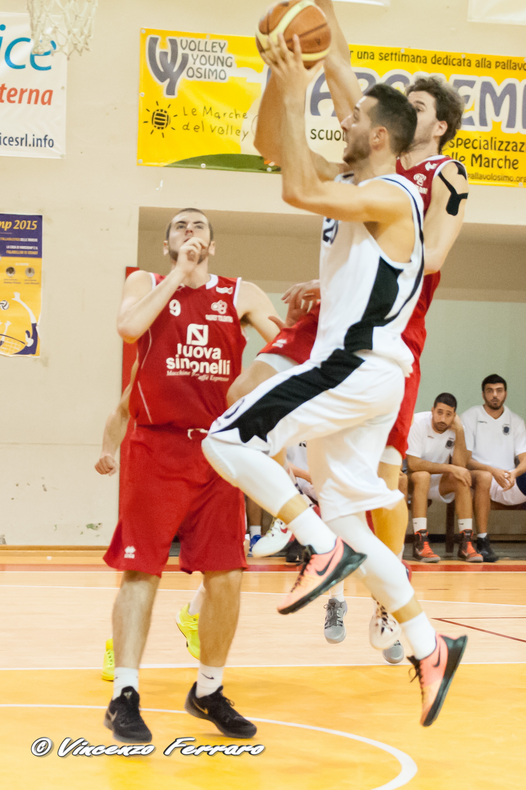 32-principi