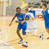 43-minibasket.jpg