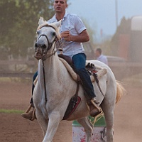 Equestre